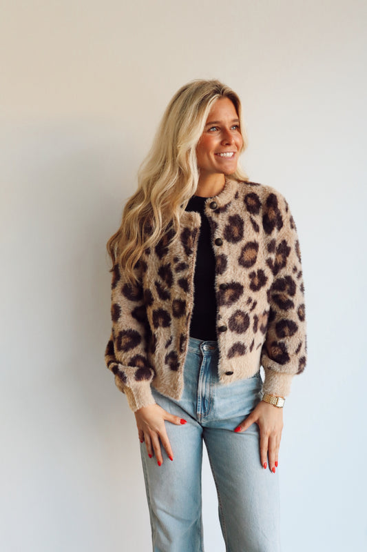 Cheetah Sweater